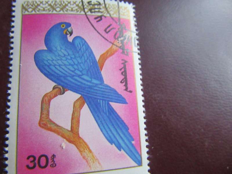 MONGOLIA -12