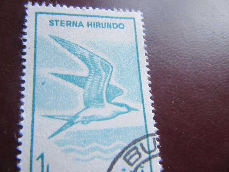 ROMANIA-12
