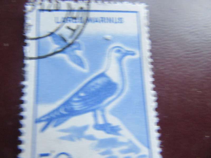 ROMANIA -12