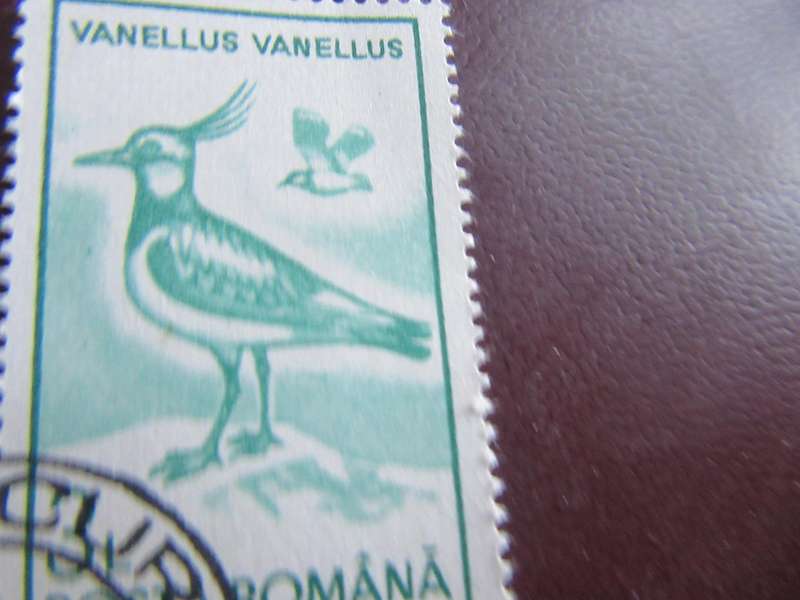 ROMANIA -12