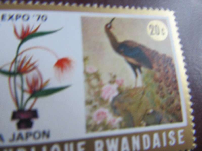 RUANDA -12