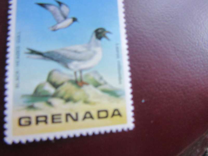 GRENADA -12