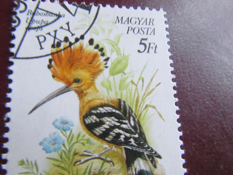 HUNGARY -12