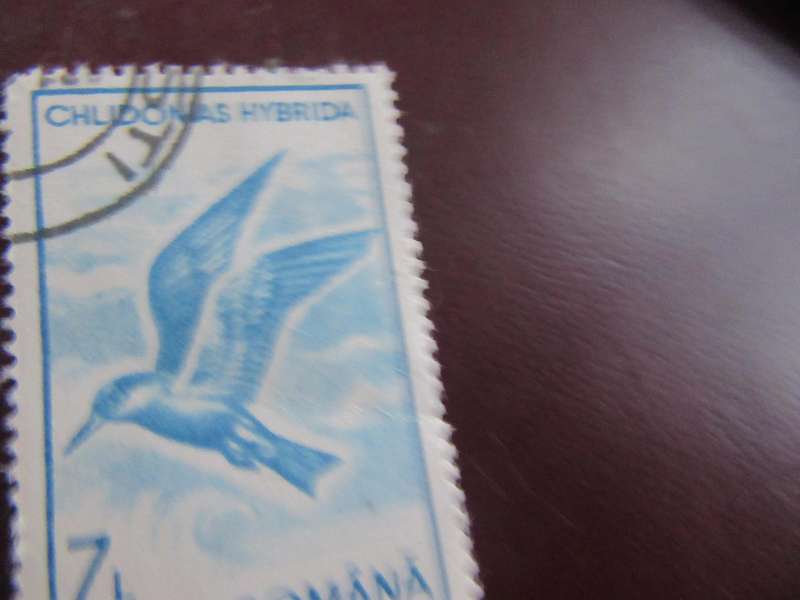ROMANIA -9