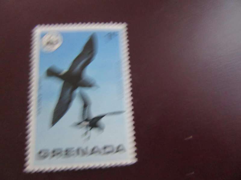 GRENADA -9