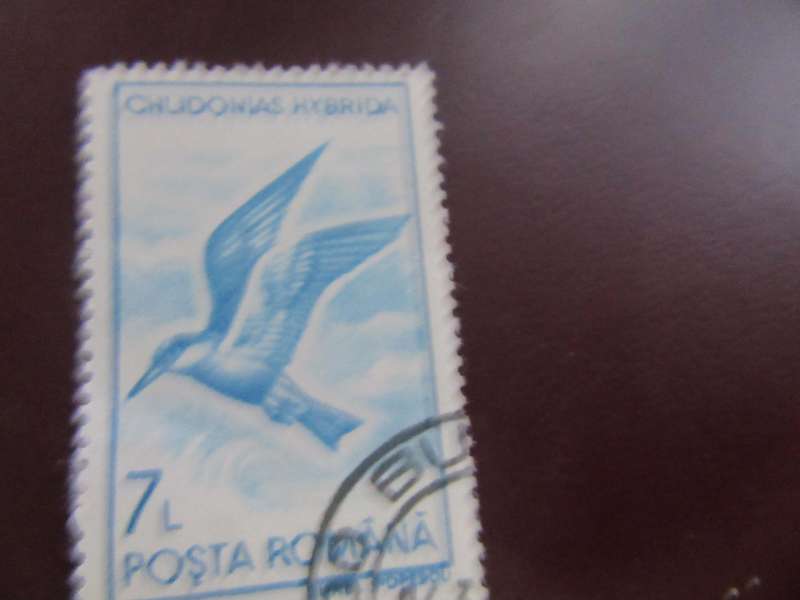 ROMANIA -9