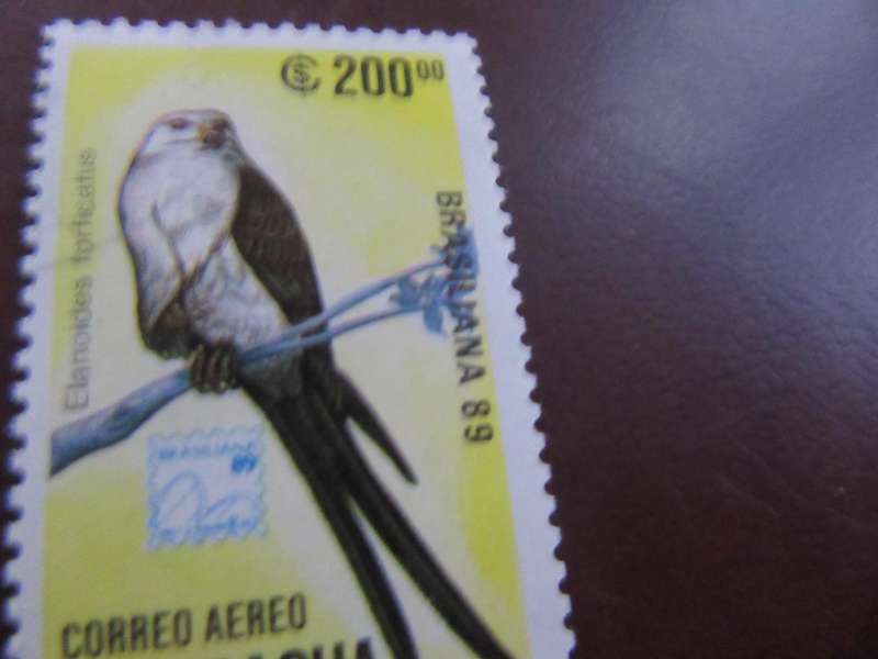 NICARAGUA