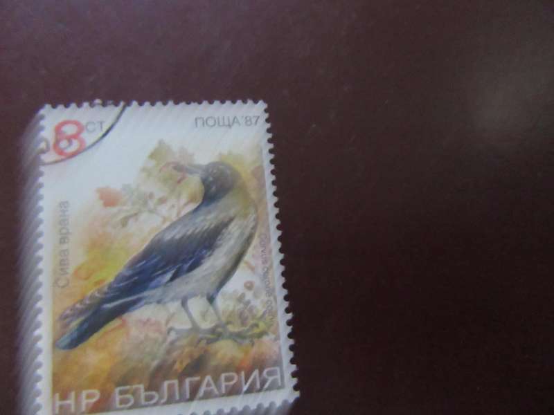 RUSSIA -11