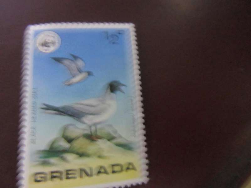 GRENADA -11