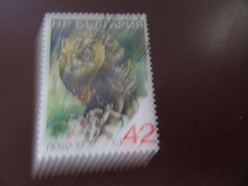 RUSSIA -11