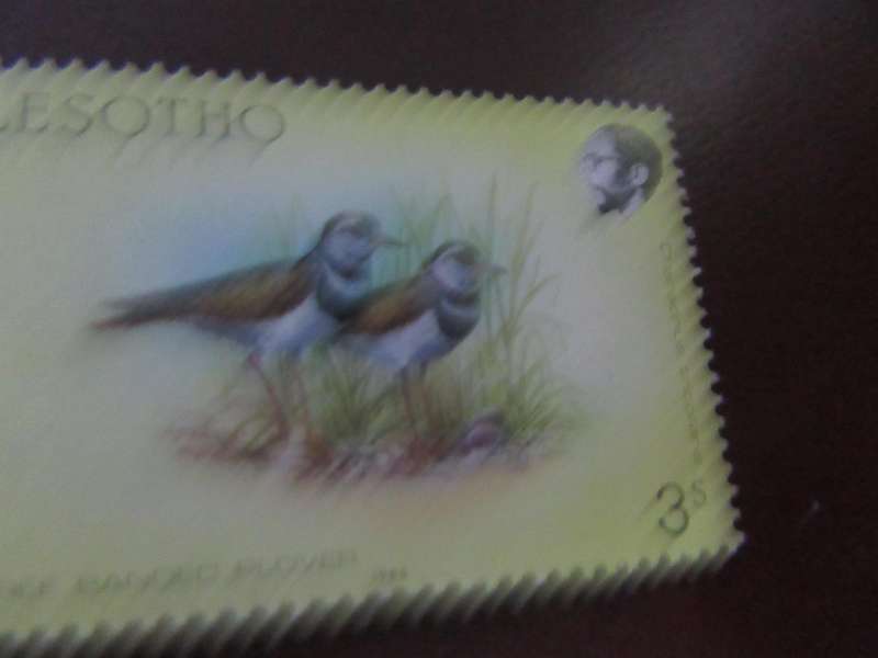 LESOTHO -10