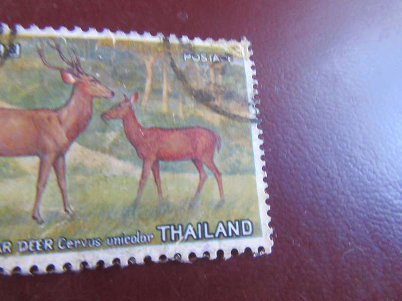 THAILAND -21