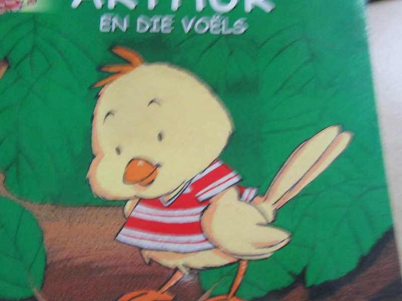 TWO BOOKS - DIE AVONTURE VAN ARTHUR - BIDPER BOOK