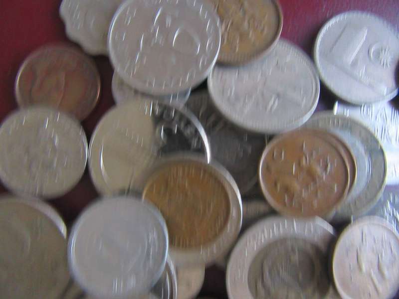 GOOD START FOR THE BEGINNER - 50 WORLD COINS INCL. RSA COINS - AS PER SCAN - LOT26