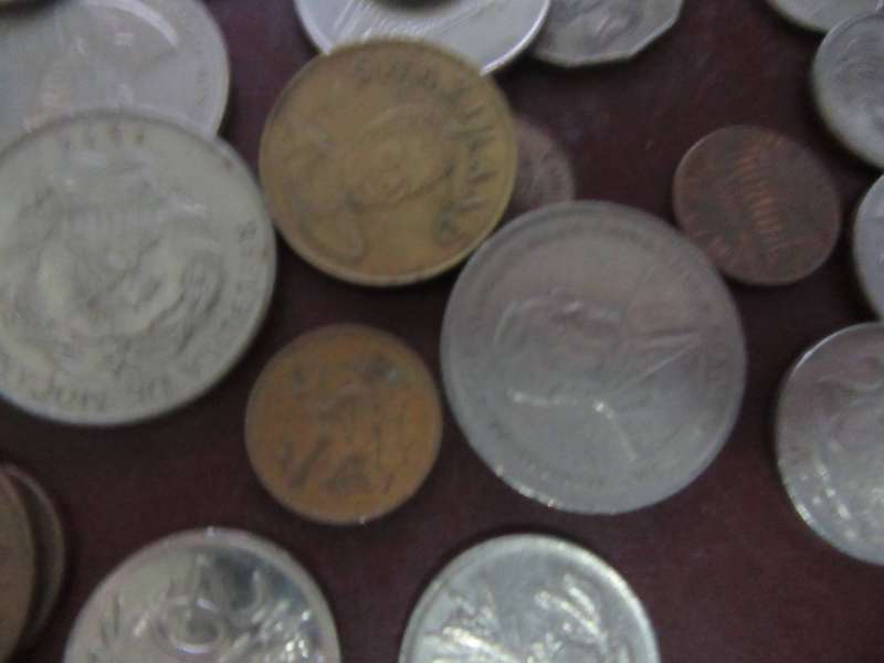 GOOD START FOR THE BEGINNER - 50 WORLD COINS INCL.RSA COINS - AS PER SCAN - LOT27B