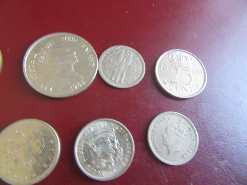 GOOD START FO THE BEGINNER - 10INTERNAIONAL COINS - AS PER SCAN - CO48