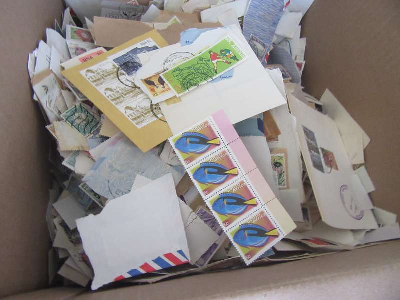 FOR THE BEGINNER - THOUSANDS OF LOCAL AND INTERNATIONAL DUPLICATIONS - ON AND OFF PAPER -