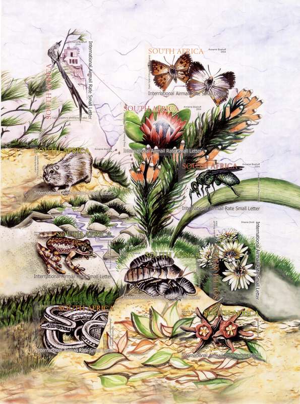 2004 - Ecology of Table Mountain - UM Sheetlet - SACC1667