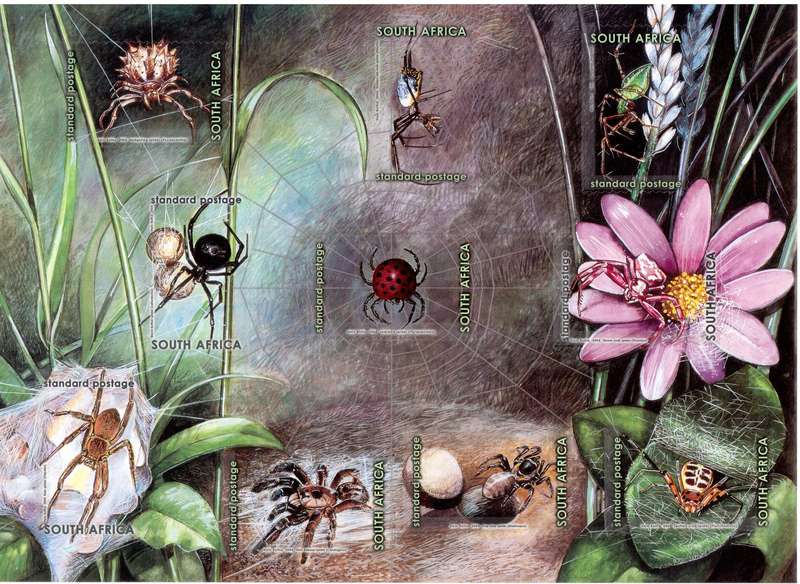 2004 - World of Spiders - UM Sheet - SACC 1643