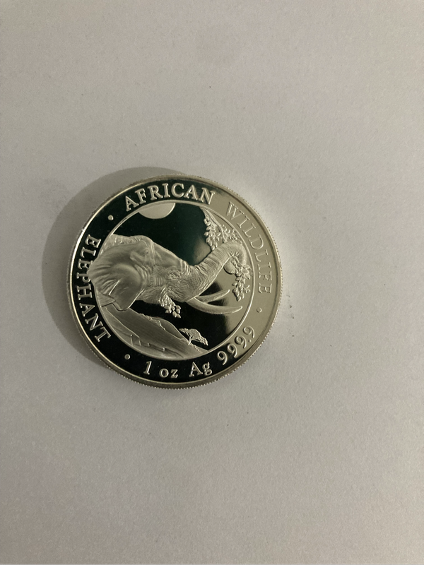 1 Oz 100 Somalian Shilling Silver Proof Coin