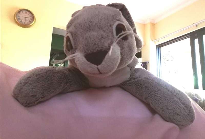 Hoppity the Hare. Super soft plush toy! 40cm.
