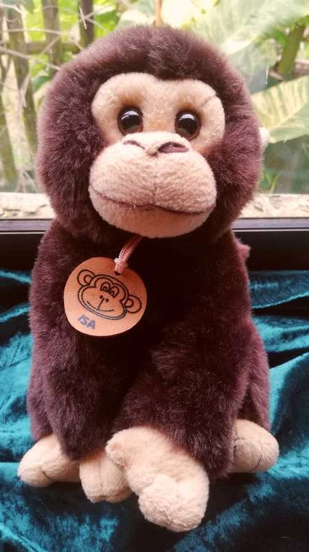 Monkey Business!  Chuckels the Super Soft Monkey!  25cm.