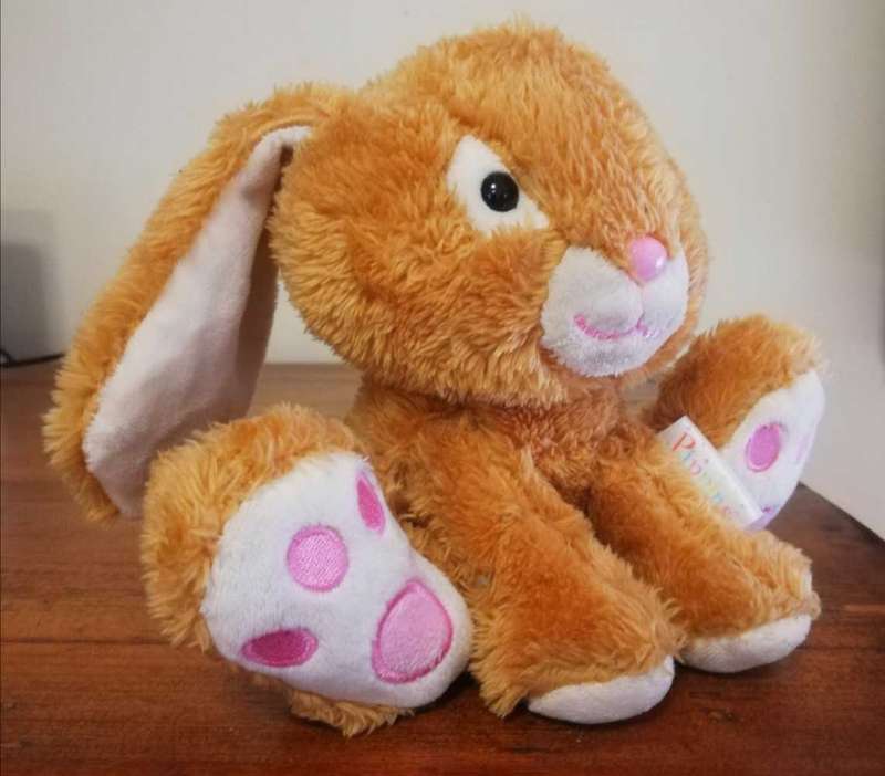 Pippins the plush, softest Bunny! 15cm.