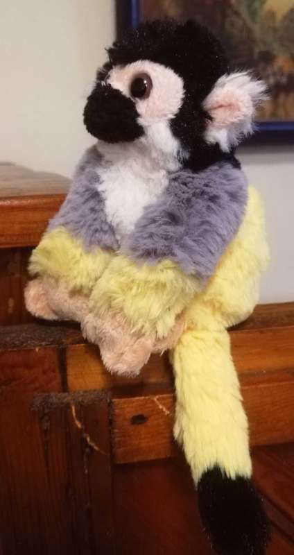 Kiki the Monkey! Super soft fur and 13cm tall.