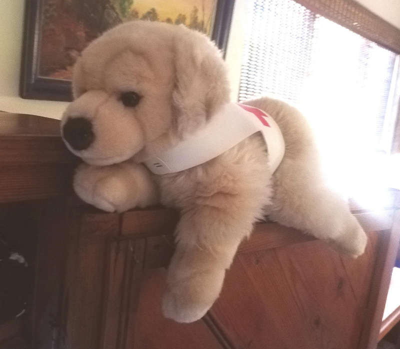 Barkley the Medic Labrador Soft Toy. An Awsome Leosco plush toy!