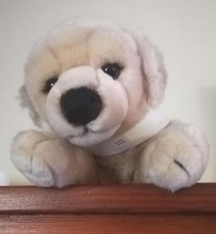 Barkley the Medic Labrador Soft Toy. An Awsome Leosco plush toy!