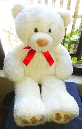 A beautiful, floppy, white Bear named Snowy. 60cm. Great price!