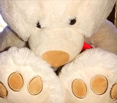 A beautiful, floppy, white Bear named Snowy. 60cm. Great price!