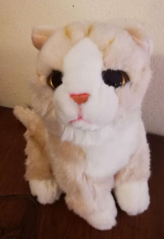 Snuggles the furry cream and white Cat. Plush toy. 22cm.
