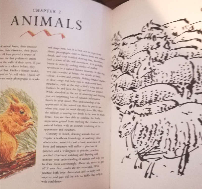 How to Draw Anything. A Complete Guide by Angela Gair. Hard Cover.