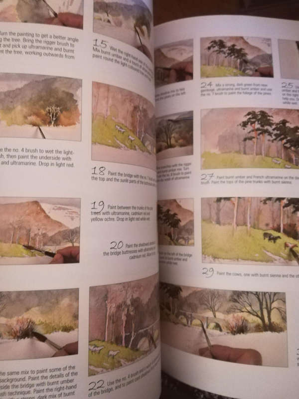 David Bellamy's Complete Guide to Watercolour Painting. Paperback. Awesome Book!