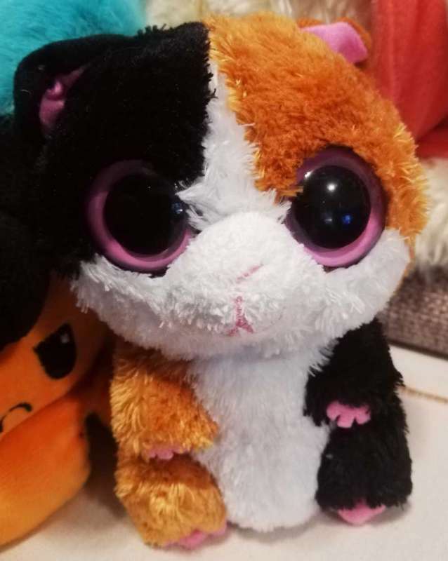 TY. Nibbles the Beanie Boo Guinea Pig. Pink solid eyes. 2011.