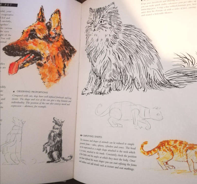 How to Draw Anything. A Complete Guide by Angela Gair. Hard Cover.