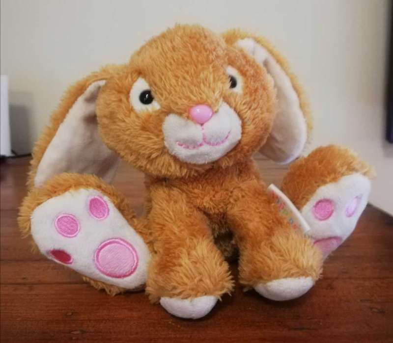 Pippins the plush, softest Bunny! 15cm.