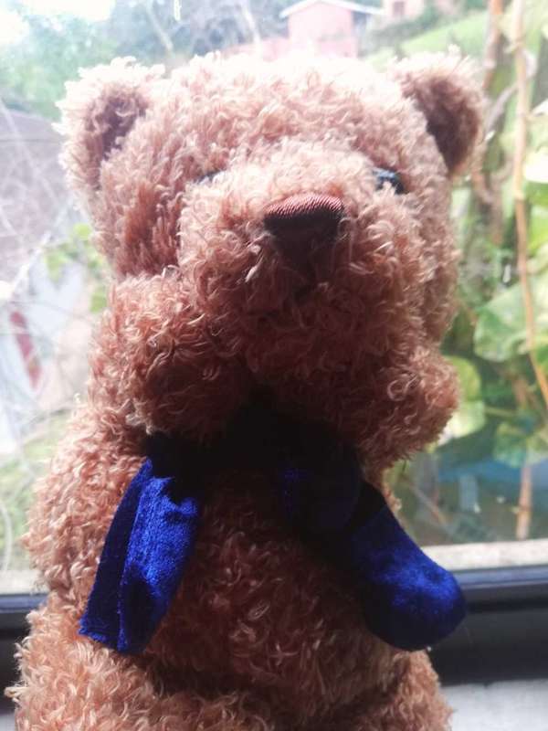 Cuddles the Bear with Blue Velvet Bow Tie. A Gorgeous Hand Puppet. 32cm.