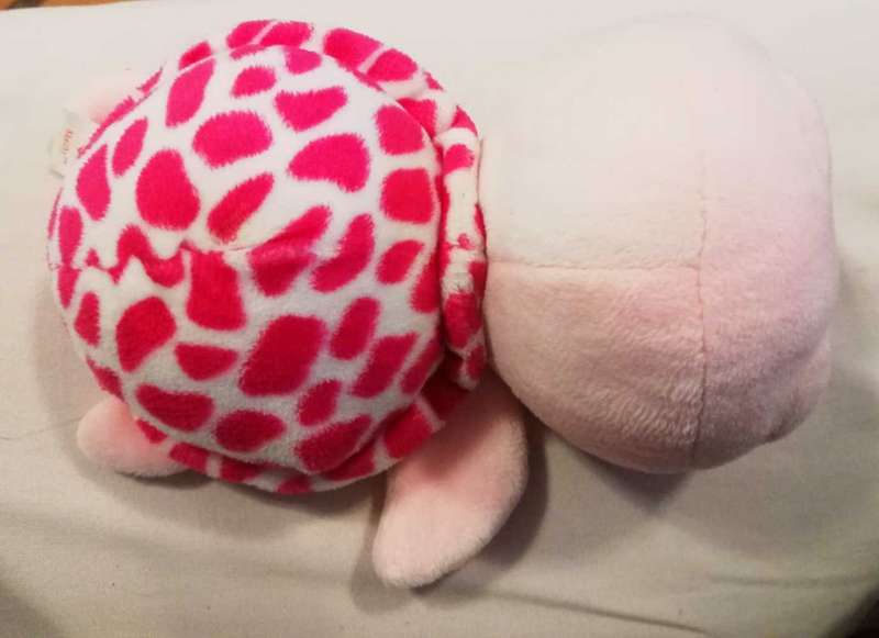 Collectable TY Shelby the Turtle from the Beanie Boo Collection.