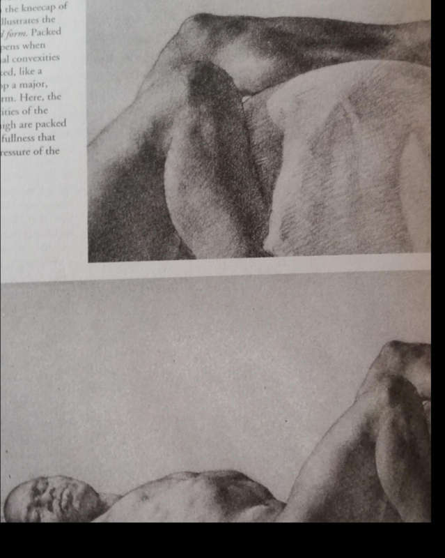 The Artist's Complete Guide to Figure Drawing by Anthony Ryder.