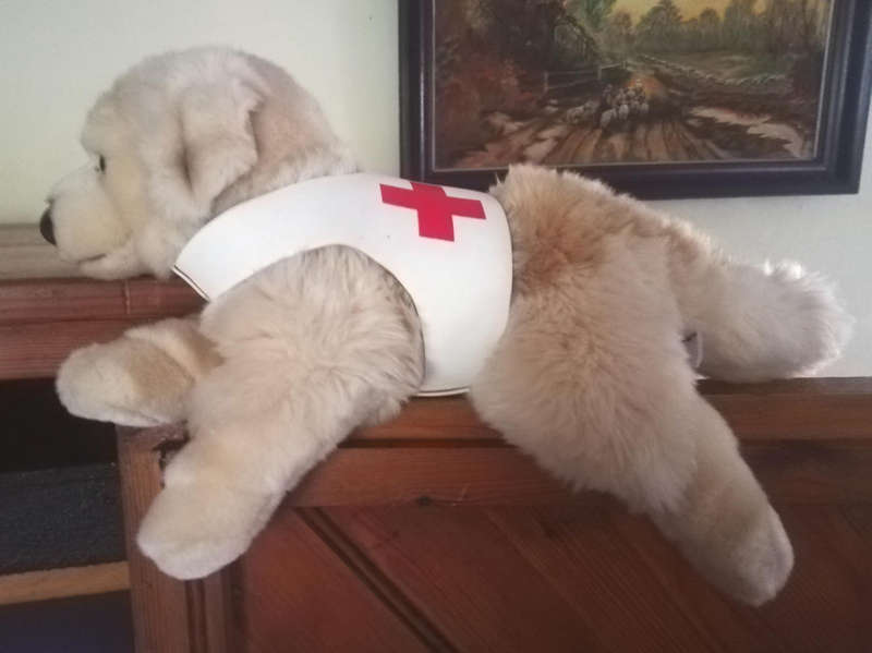 Barkley the Medic Labrador Soft Toy. An Awsome Leosco plush toy!