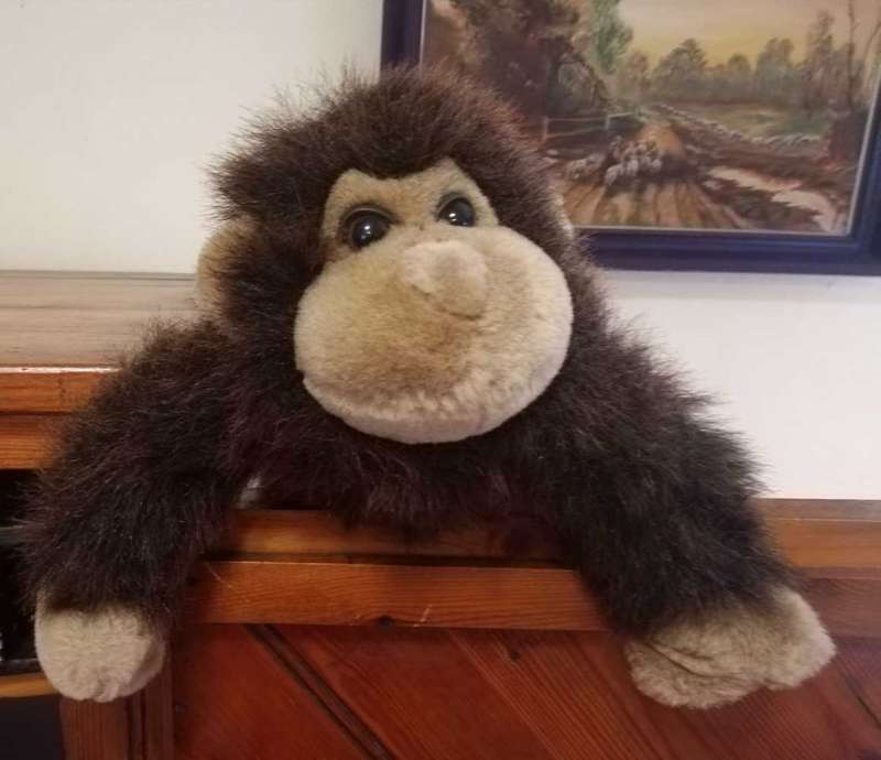 Gizmo the Gorilla. Cute, plush soft toy. 28cm.