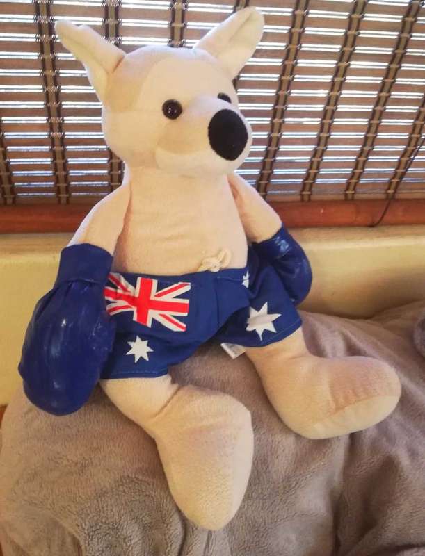 An Australia United Souvenir Boxing Kangaroo. A Plush soft toy. 40cm.