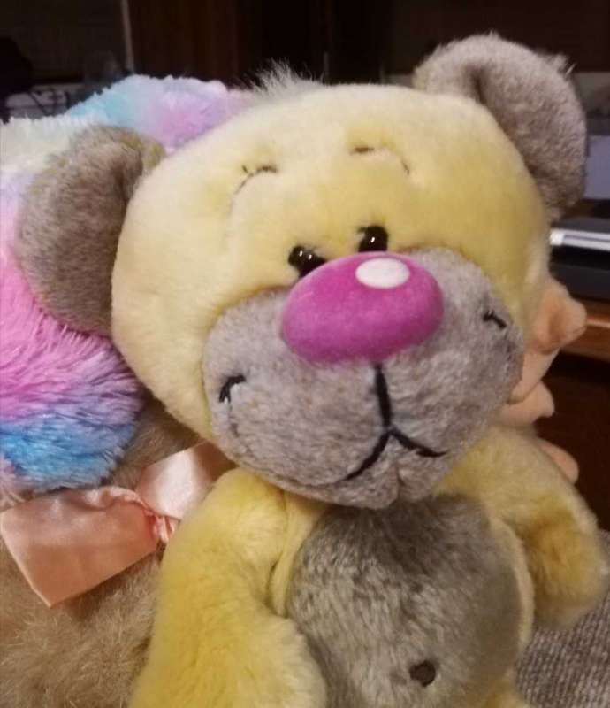 Cute Pimboli the Teddy friend of the Diddl mouse created by Thomas Goletz. 28cm.