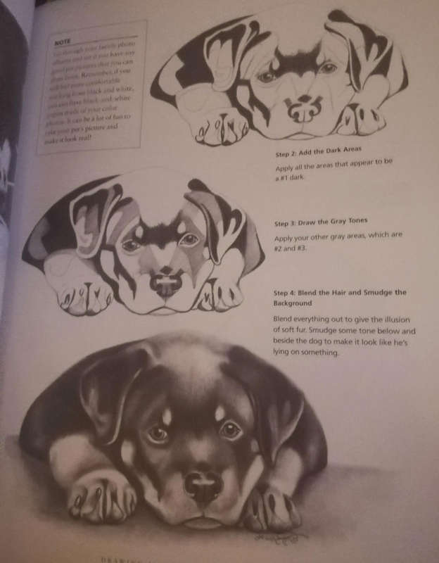 Lee Hammond's Big Book of Drawing. You can do it! Fast and easy techniques for drawing.