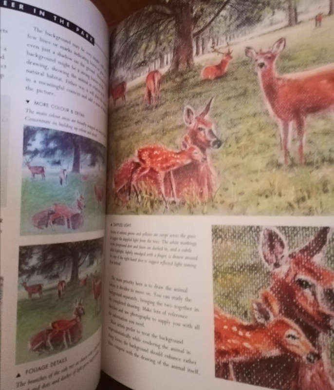 How to Draw Anything. A Complete Guide by Angela Gair. Hard Cover.