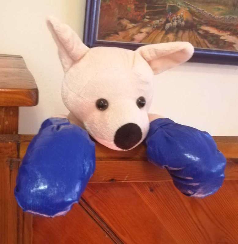 An Australia United Souvenir Boxing Kangaroo. A Plush soft toy. 40cm.