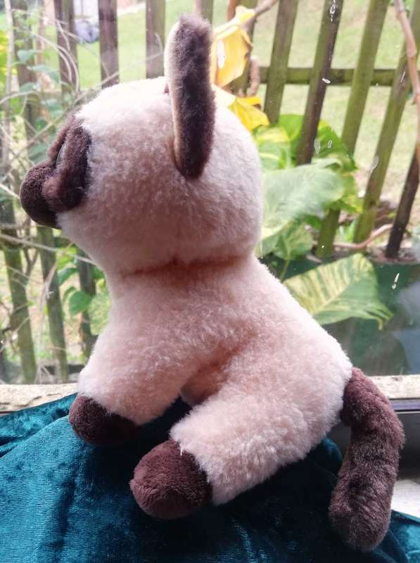 RARE TY Beanie Boo Velvety Plush - Jaden Siamese Cat. Soft Toy. 17cm.