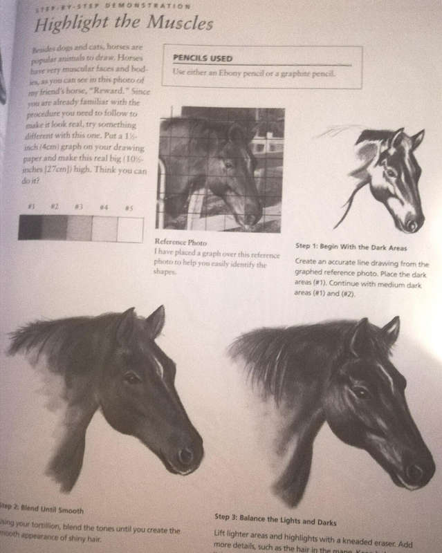 Lee Hammond's Big Book of Drawing. You can do it! Fast and easy techniques for drawing.